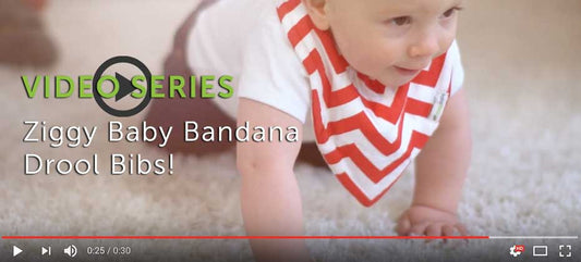 [Video] Ziggy Baby Bandana Drool Bibs